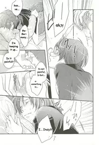 [Hakoniwa (Mai)] Il cielo sulla terra! (Axis Powers Hetalia) [English]