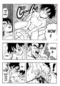 DOUJIN 2000 - Dragonball H [English]