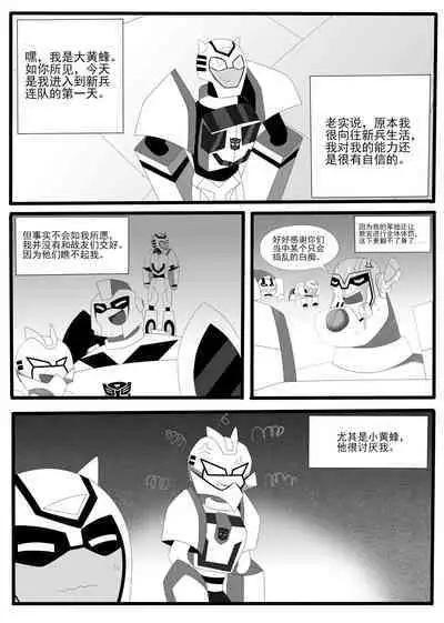 Transformers animated doujinshi《MISUNDERSTAND》beewasp R-18