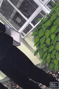 (HaruCC21) [Ohige (Kanu)] Haru no Ame (Haikyuu!!)