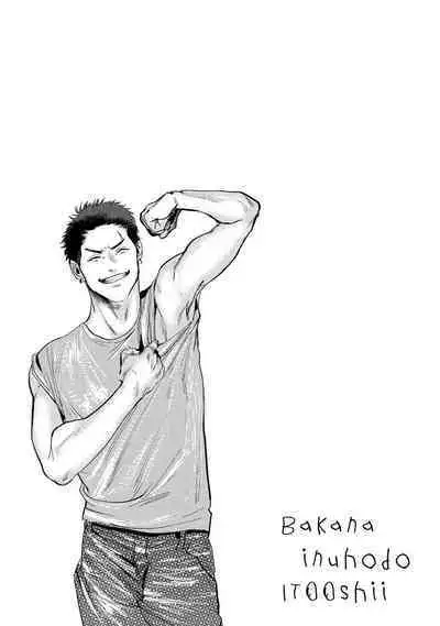 Baka na Inuhodo Itooshii | As Lovable as a Dumb Dog. By Yuitsu.