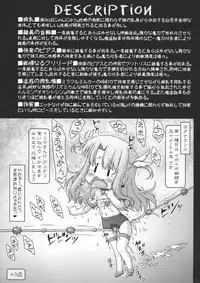Doki Illya-chan Bocchi no Eroero Daiundoukai!