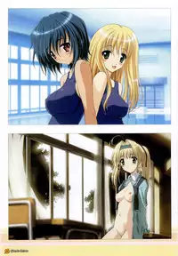 Maple Colors Fanside - Mediax Mook 238