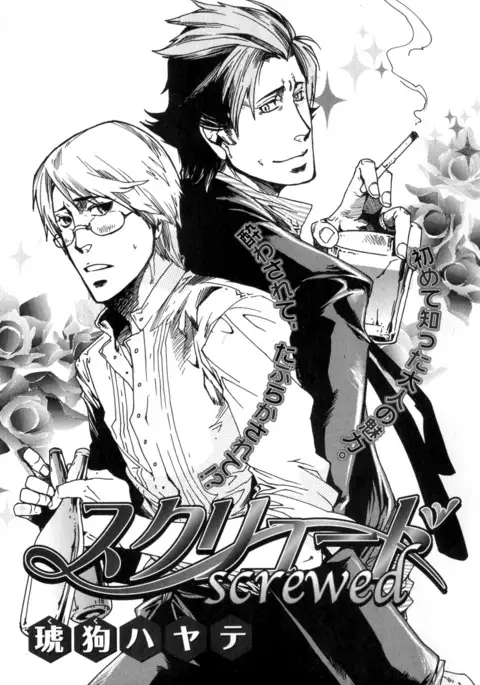 b-BOY Phoenix Vol.7 Tshi no Sa Tokushuu