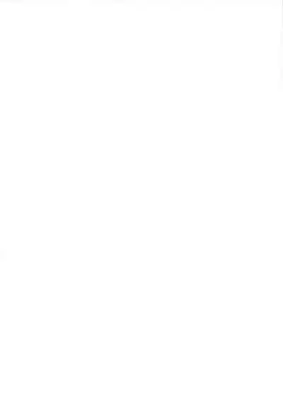 Menat Cos ArraCos Mob Kan Tsumeawase