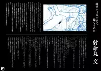 (C86) [Chroma of Wall (saitom)] Gensoukyou Inkou Kirokushuu (Touhou Project)