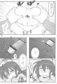 (C73) [Kanmidokoro USB (Furiri)] TIGER CAT (Lucky☆Star)