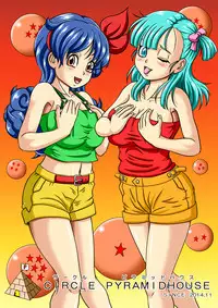 [Pyramid House (Massuruman)] Kame Sennin no Bitch Choukyou (Dragon Ball) [Digital]