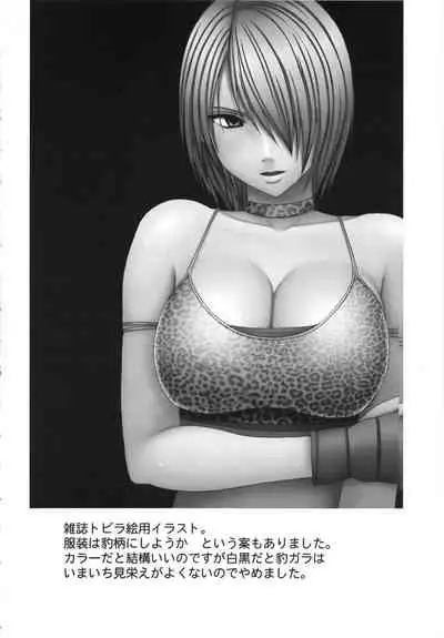 Girls Fight Kanzenban