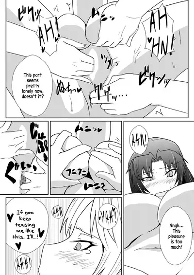 Hong Meiling no Hi - Hatsujouki