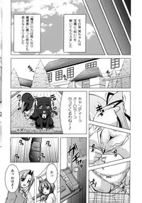 [RAVEN] Magical Mei King