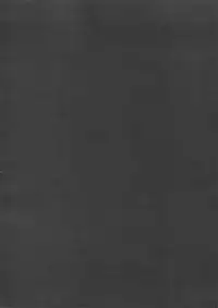 (C94) [RED (koi)] LIAR Liar (Fate/stay night)