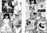 [Shin Tsuguru] Physical Flapper