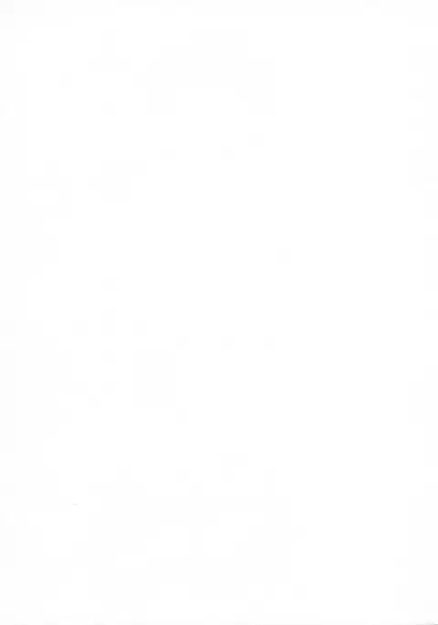 Nine to Five Lover 7-1