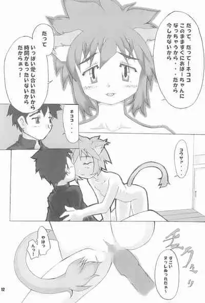 (C59) [FREE HEAVEN (Sawadai)] Nekoroman