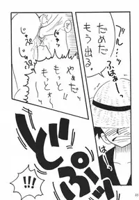 [Ginmomodou (Mita Satomi)] Koukai Nisshi DX (One Piece)