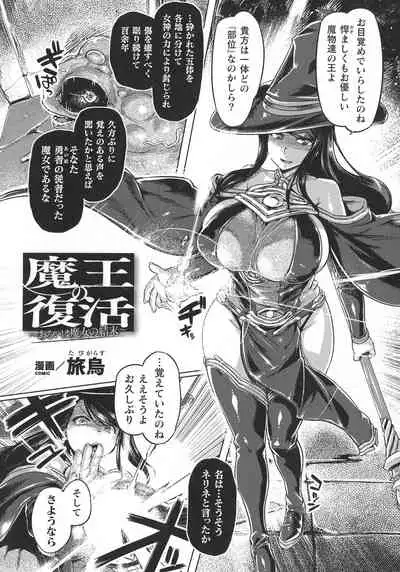 Haiboku Otome Ecstasy SP9