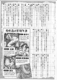 [Bow Rei] Himitsu no Hanazono 2 - The Secret Garden 2