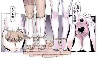 Mamono no Monogatari 0. 1