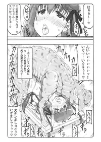 (C91) [Abarenbow Tengu (Izumi Yuujiro)] Kotori 14 (Fate/stay night)