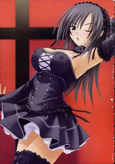 Shin Ringetsu Visual Fanbook