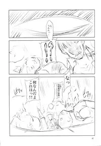 (C78) [Fakestar (Miharu)] FD (Various)