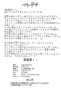 (C90) [Aroma Gaeru (Numahana)] Houmitsusen!! + Paper (Street Fighter)