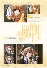 clover heart's visual fan book