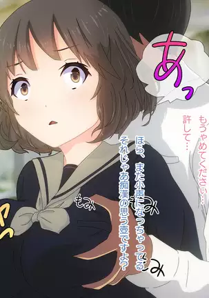 Akutoku Chikan Gekitai Seminar ~Higaisha o Kuimono ni Suru Koushuukai no Jittai~