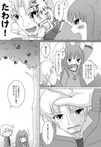 (Mimiket 18) [Cat Expert (Nekousa)] Wacchi Ecchi (Spice and Wolf)