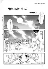 [Anthology] Lunatic Party 4 (Bishoujo Senshi Sailor Moon)