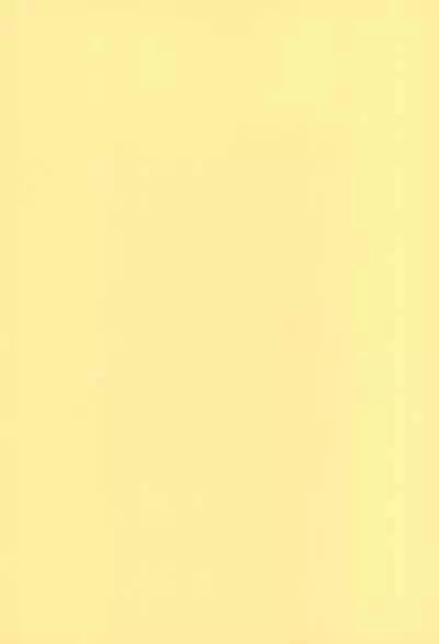 (C59) [Itaba Tatamiten (Itaba Hiroshi)] NiSeMoNo 6