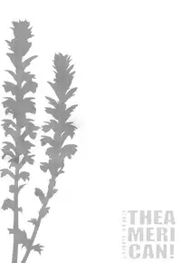 [odin (Kurokawa IZUMI)] CUTE GIRL! THE AMERICAN! (Kantai Collection -KanColle-)