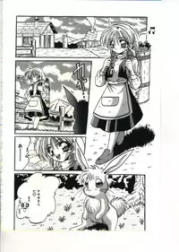 [Appleton] Fairy Paradise