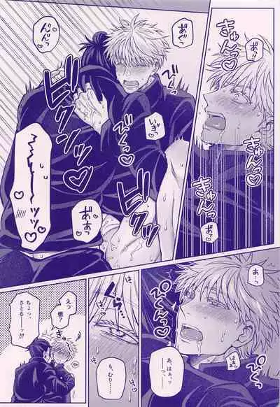 Sonna ni Watashi no XX ga Suki?