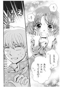 (SPARK13) [Yanagi-tei (Yanagi)] RaA Sairokushuu - Strawberry LIFE (Ranma 1/2)