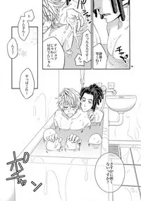 (C81) [Crazy9 (Ichitaka)] Ofuro de! Wanko TomShizu no Hon (Durarara!!)