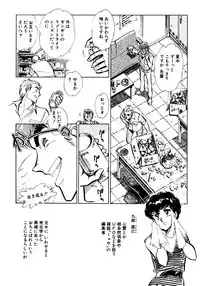 [Shibata Masahiro] Nano Sector