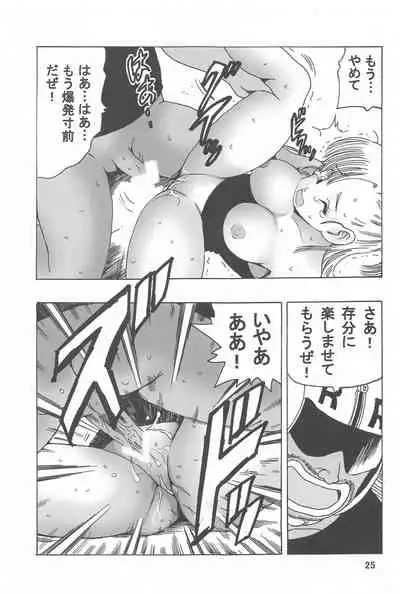 [Monkees (Young Jijii)] EPISODE OF BULMA NO.2 (Dragon Ball)