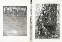 [Tajima Yasue] Dual Symphony