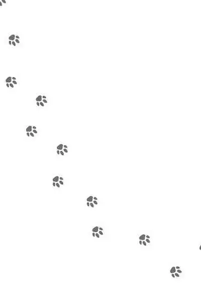 Fukurou no Koiwazurai | 猫头鹰的相思病