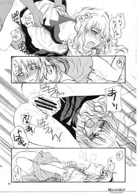 (C74) [Shoujo Zukin (Hatomugi Munmun)] Marecollect (Touhou Project)