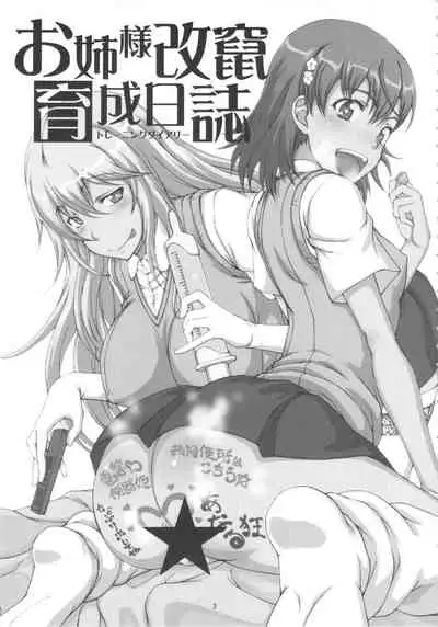 Oneesama Kaizan Training Diary