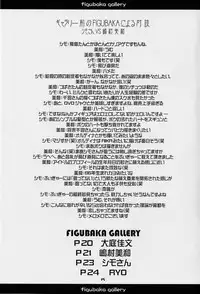 [Shimoboard, PLASTIC IMAGE (Shimosan, Shimamura Miwa)] Figubaka (FIGURE 17)