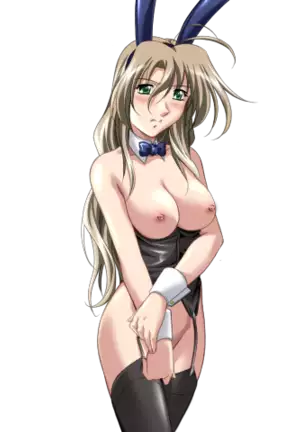 Do You Like Horny Bunnies? 2 (decensored)