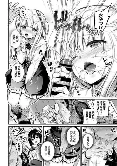 Kouki na Ojou-sama wa Chitsunai Shasei ga Osuki