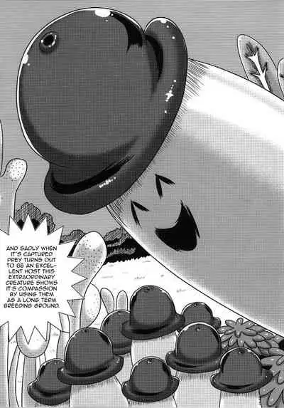 Machi Gari! | Hunting Machi!