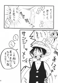 [Ginmomodou (Mita Satomi)] Koukai Nisshi DX (One Piece)