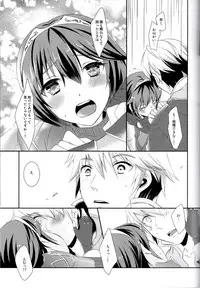 (C89) [ACIDSEA (Asuma Omi)] Shinai Naru Anata e (Fire Emblem Kakusei)