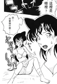 [Aoyama Nako] Detective Assistant Vol. 15 (Detective Conan) [Chinese]